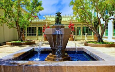 Van fonteinen tot vijvers, hoe je water in je tuin kunt integreren